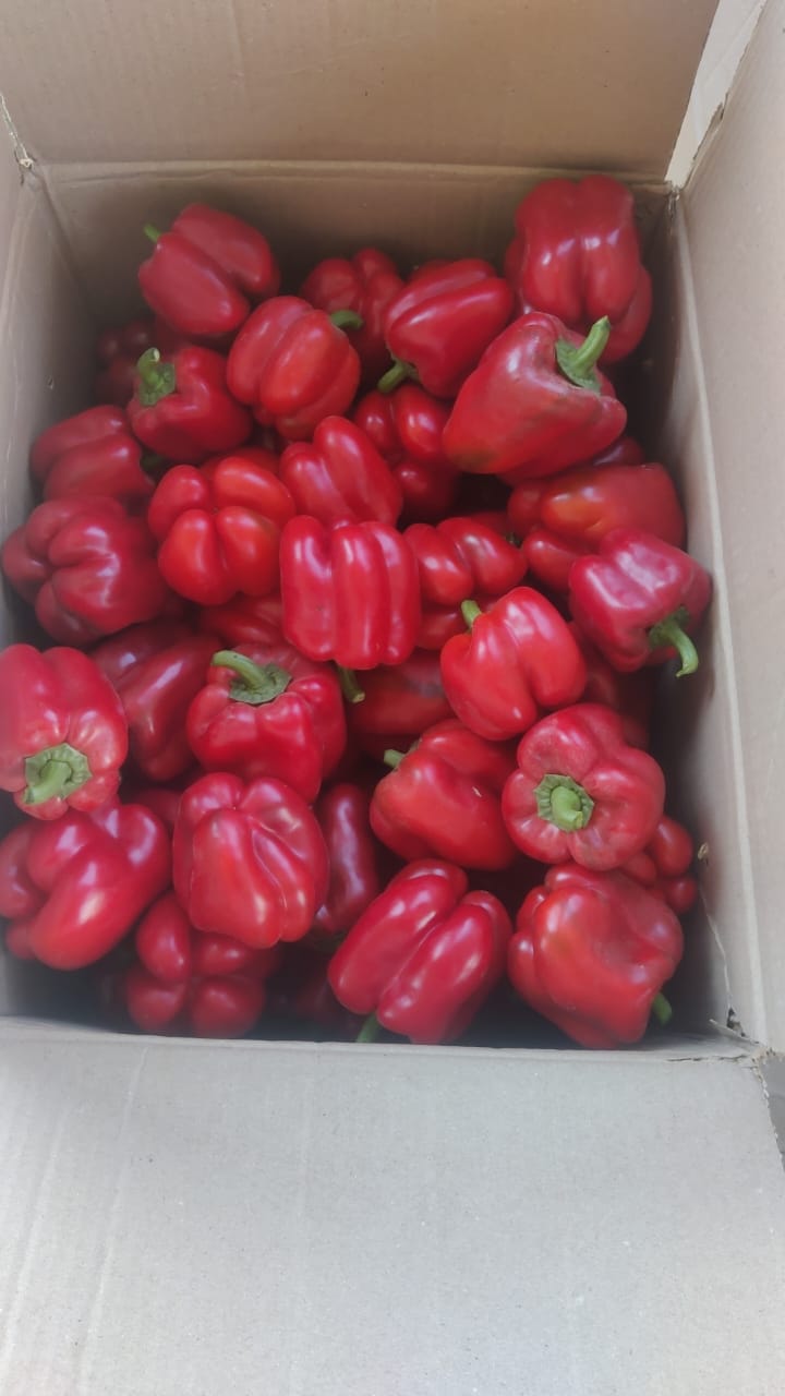 Packed Red Peppers